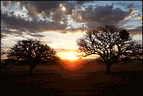 ������: Stellet Licht (Silent Night).